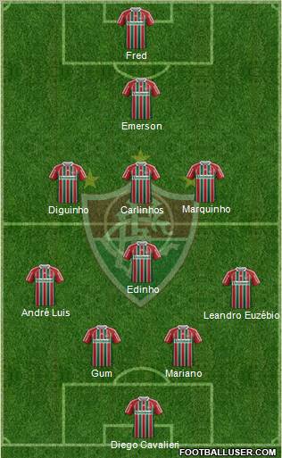 Fluminense FC Formation 2011