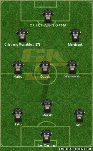 Gornik Leczna Formation 2011
