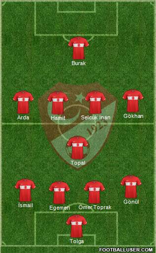 Turkey Formation 2011