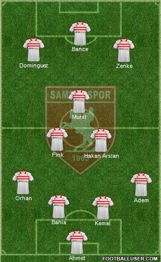 Samsunspor Formation 2011