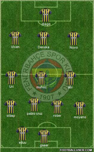 Fenerbahçe SK Formation 2011
