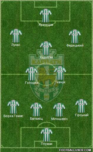 Karpaty Lviv Formation 2011