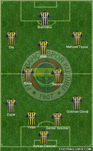 Fenerbahçe SK Formation 2011