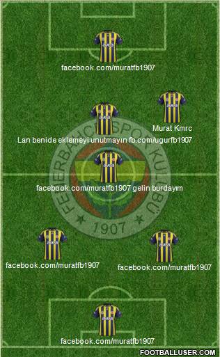 Fenerbahçe SK Formation 2011