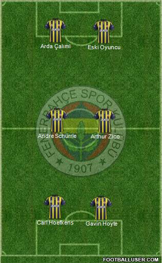 Fenerbahçe SK Formation 2011