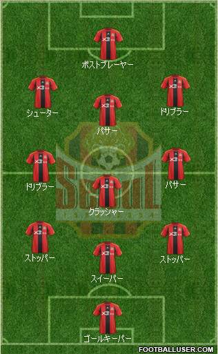 FC Seoul Formation 2011