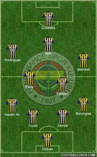 Fenerbahçe SK Formation 2011