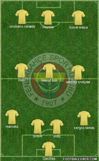 Fenerbahçe SK Formation 2011