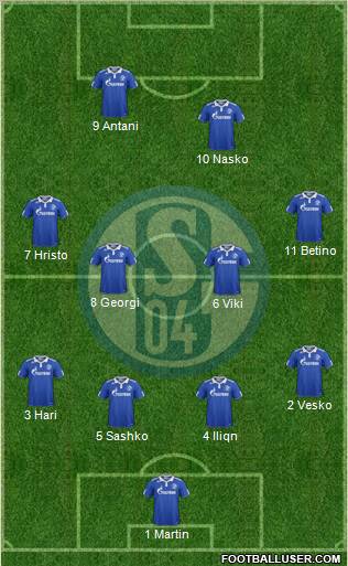 FC Schalke 04 Formation 2011