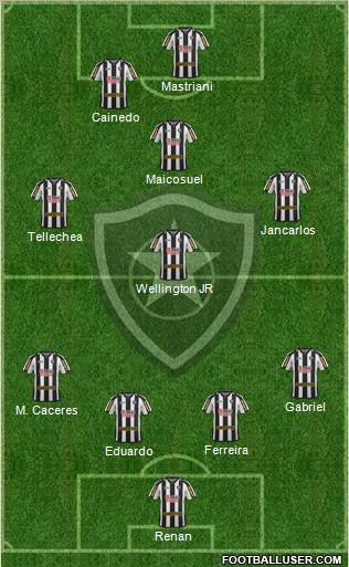 Botafogo FR Formation 2011