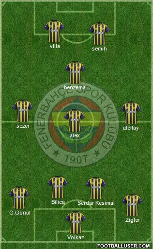 Fenerbahçe SK Formation 2011