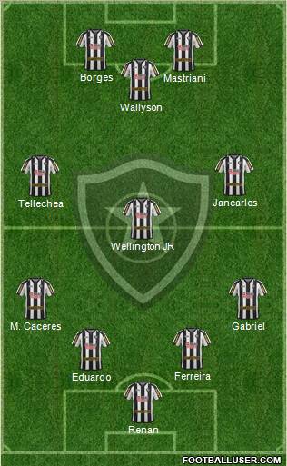 Botafogo FR Formation 2011