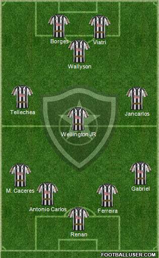 Botafogo FR Formation 2011