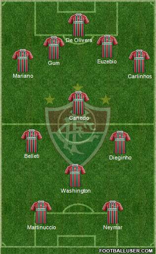 Fluminense FC Formation 2011