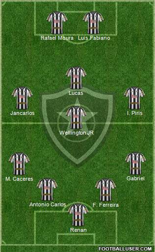 Botafogo FR Formation 2011