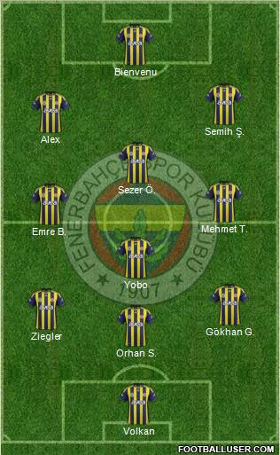 Fenerbahçe SK Formation 2011