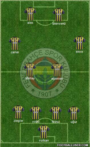 Fenerbahçe SK Formation 2011
