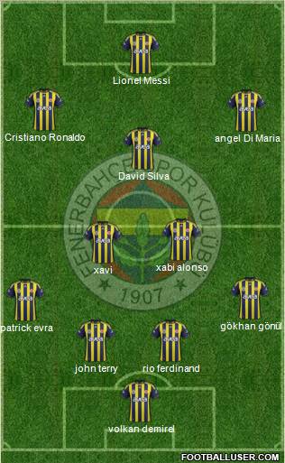 Fenerbahçe SK Formation 2011