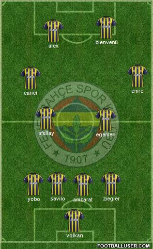 Fenerbahçe SK Formation 2011