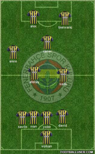 Fenerbahçe SK Formation 2011