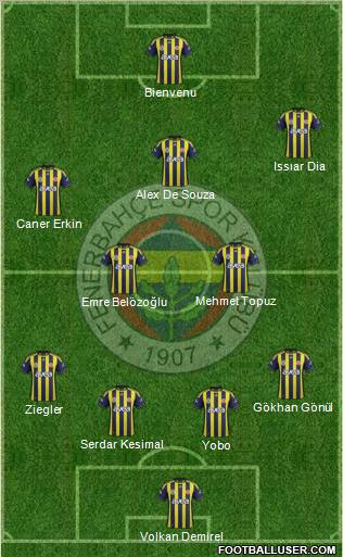 Fenerbahçe SK Formation 2011