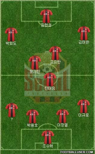 FC Seoul Formation 2011