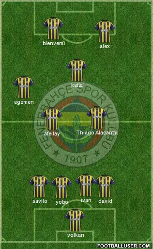 Fenerbahçe SK Formation 2011