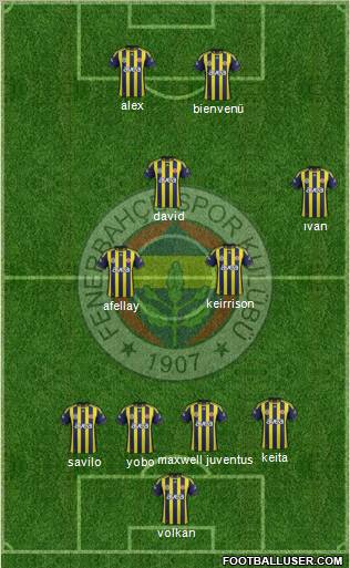 Fenerbahçe SK Formation 2011