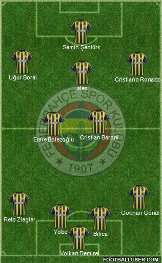 Fenerbahçe SK Formation 2011