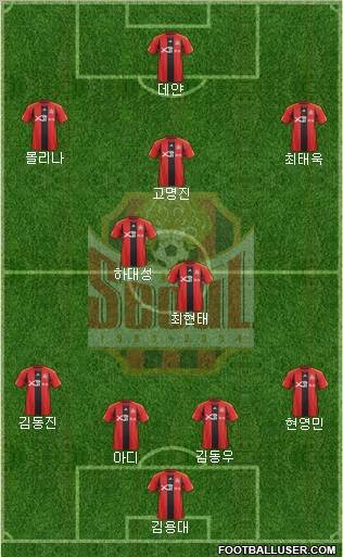 FC Seoul Formation 2011
