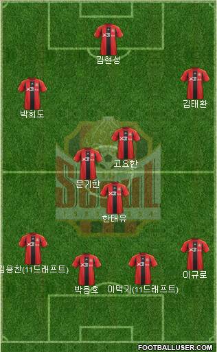 FC Seoul Formation 2011