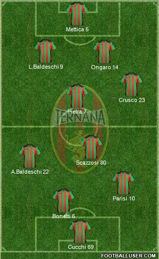 Ternana Formation 2011