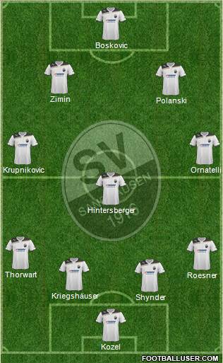 SV Sandhausen Formation 2011
