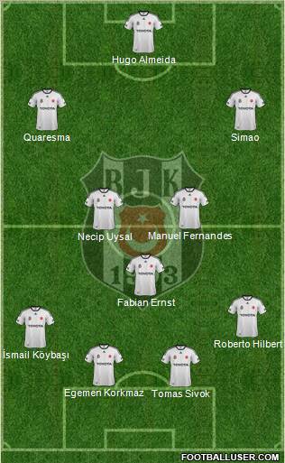 Besiktas JK Formation 2011