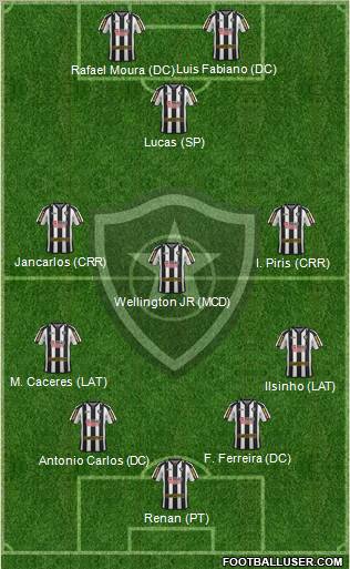 Botafogo FR Formation 2011