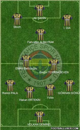 Fenerbahçe SK Formation 2011