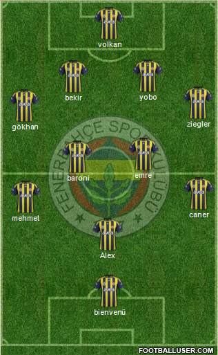 Fenerbahçe SK Formation 2011