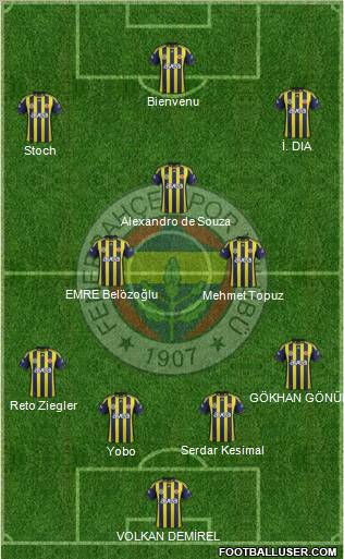 Fenerbahçe SK Formation 2011