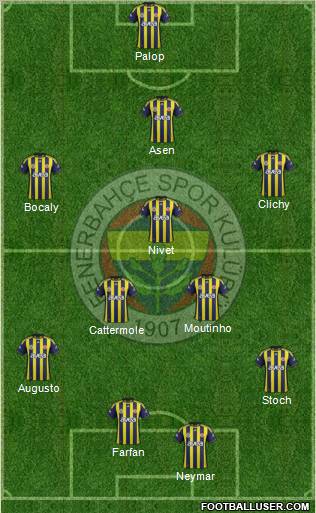 Fenerbahçe SK Formation 2011