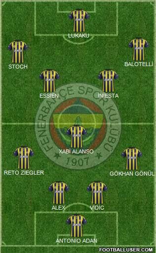 Fenerbahçe SK Formation 2011