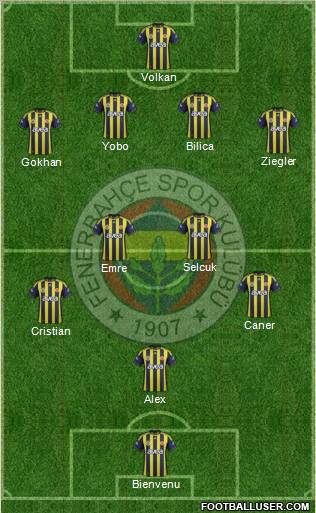 Fenerbahçe SK Formation 2011