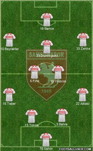 Samsunspor Formation 2011