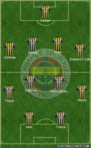 Fenerbahçe SK Formation 2011