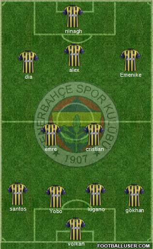 Fenerbahçe SK Formation 2011