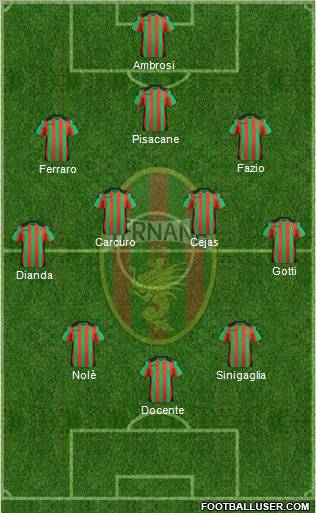 Ternana Formation 2011