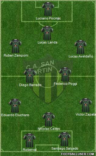 San Martín de San Juan Formation 2011