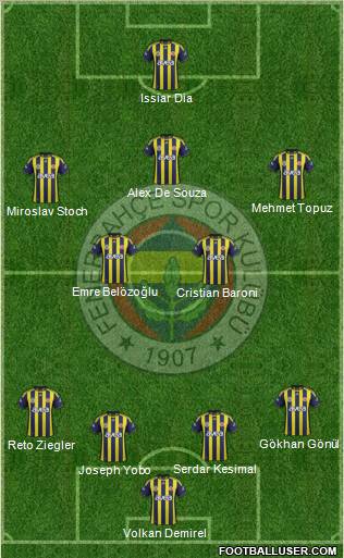 Fenerbahçe SK Formation 2011