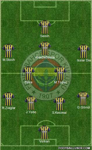 Fenerbahçe SK Formation 2011