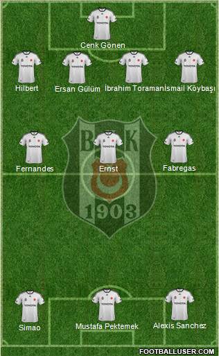 Besiktas JK Formation 2011