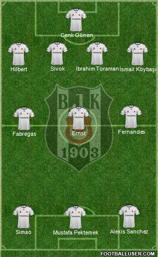 Besiktas JK Formation 2011